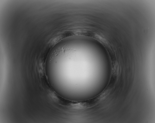 X0000086740430200704201709