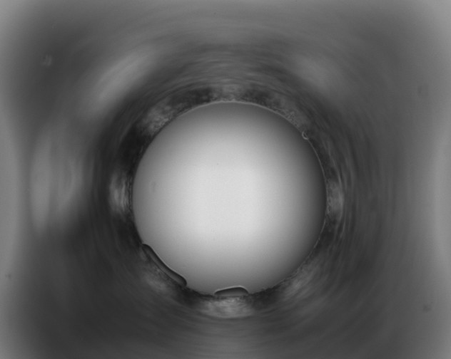 X0000086740431200704201709