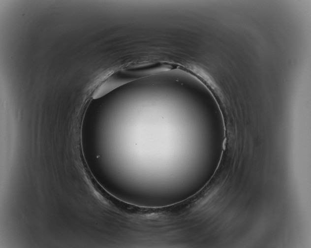 X0000086740433200704201709