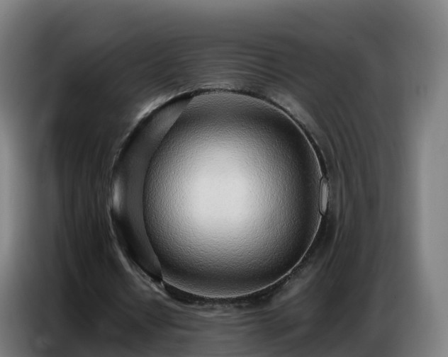 X0000086740434200704201709