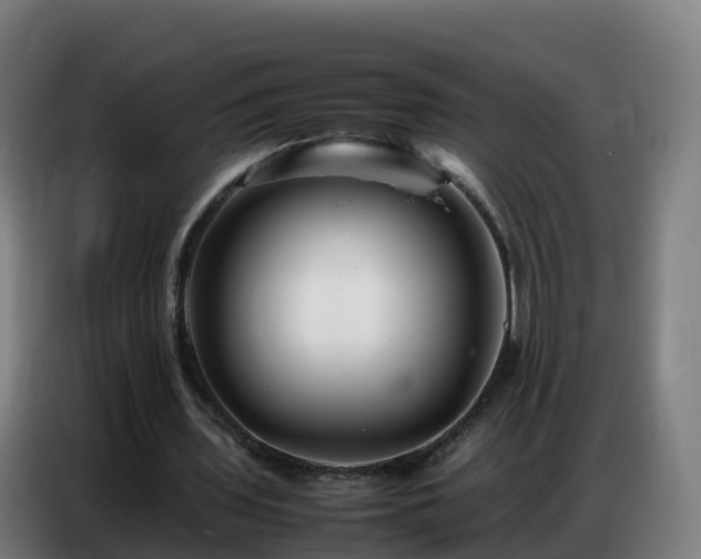 X0000086740435200704201709