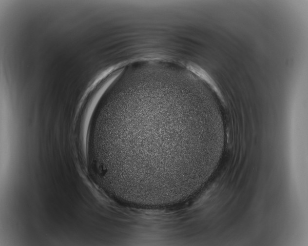 X0000086740436200704201709