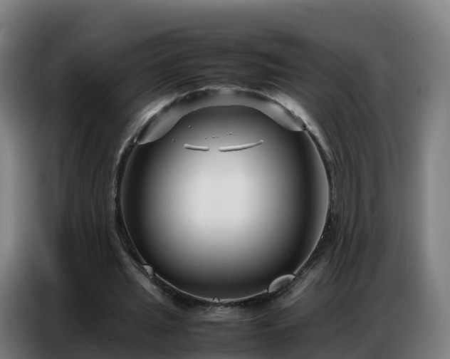 X0000086740437200704201709