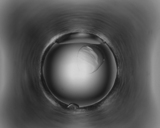 X0000086740438200704201709