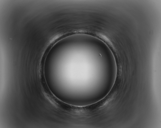 X0000086740439200704201709