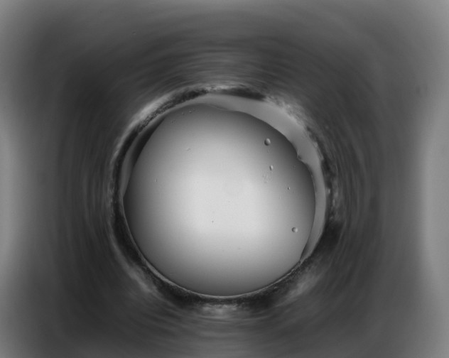 X0000086740440200704201709