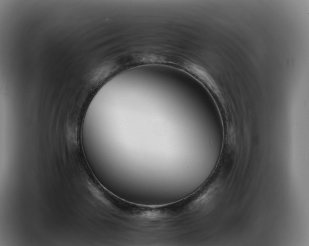 X0000086740441200704201709