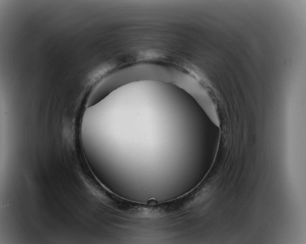 X0000086740442200704201709