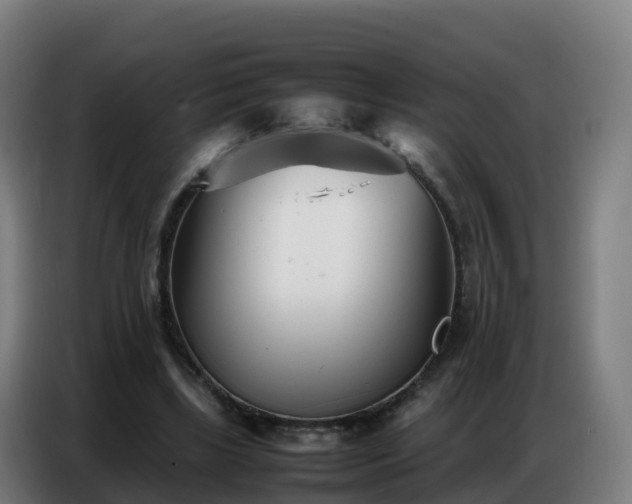 X0000086740443200704201709