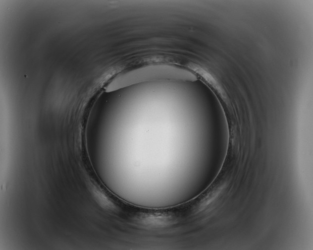 X0000086740445200704201709