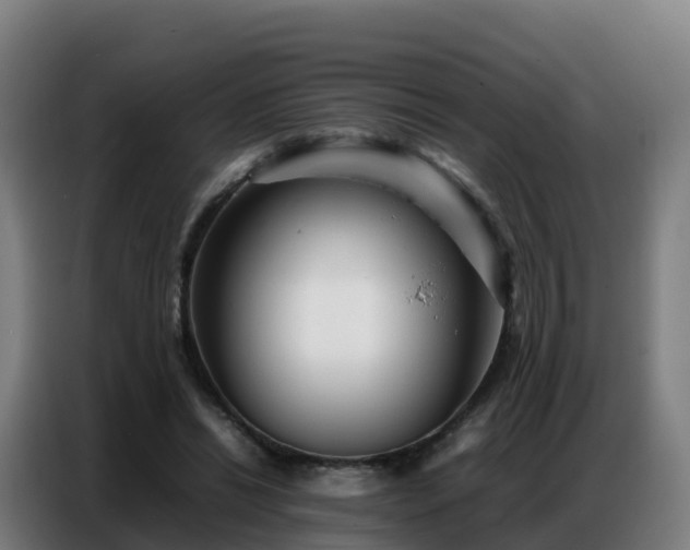 X0000086740446200704201709