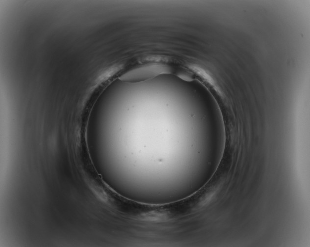 X0000086740447200704201709