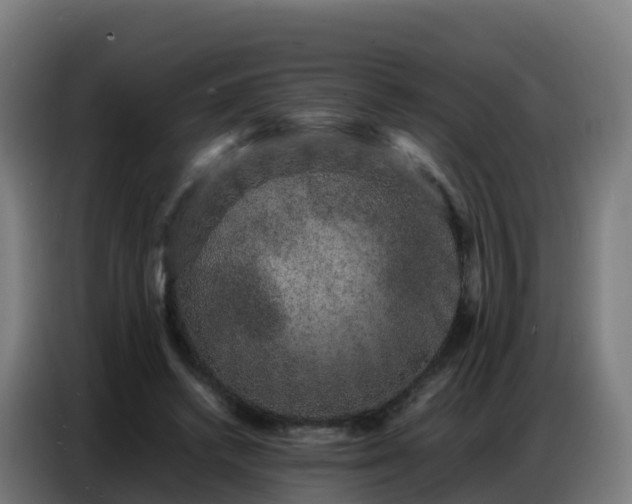 X0000086740448200704201709