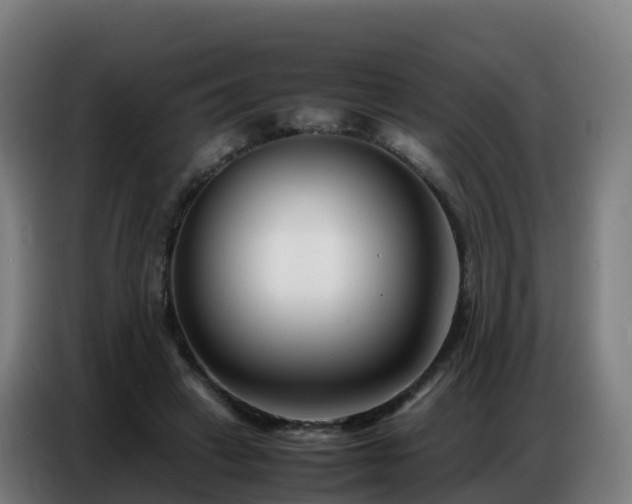 X0000086740449200704201709