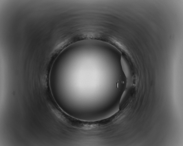 X0000086740450200704201709