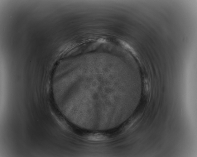 X0000086740451200704201709