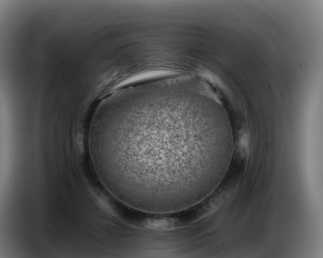 X0000086740452200704201709