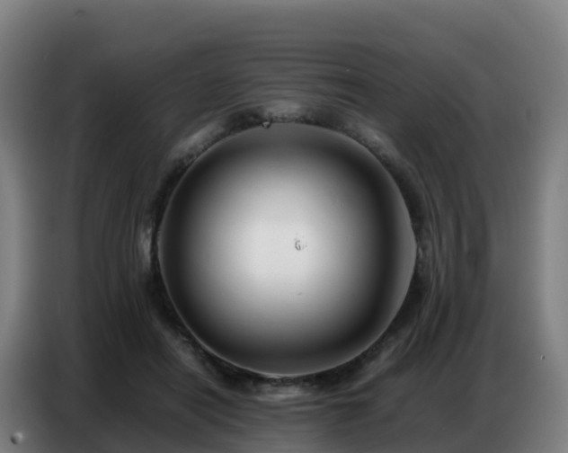 X0000086740454200704201709