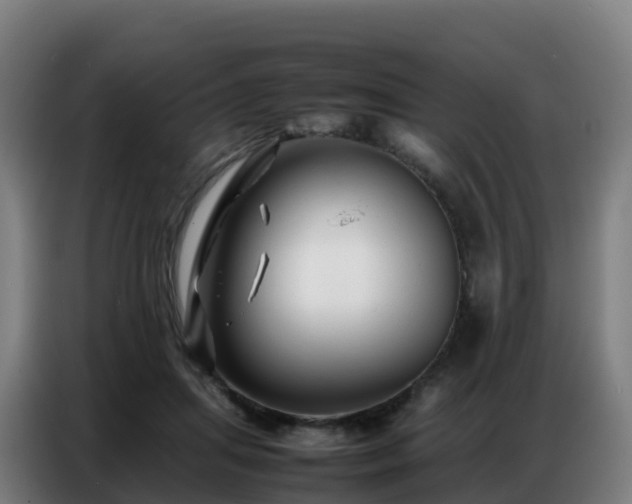 X0000086740455200704201709