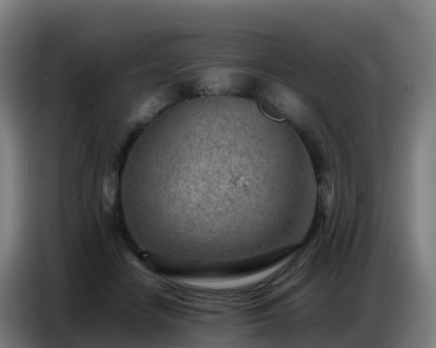 X0000086740458200704201709