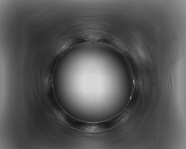 X0000086740460200704201709