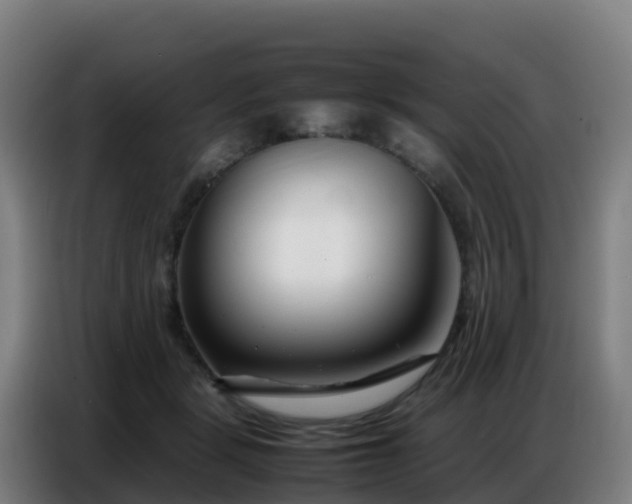 X0000086740461200704201709