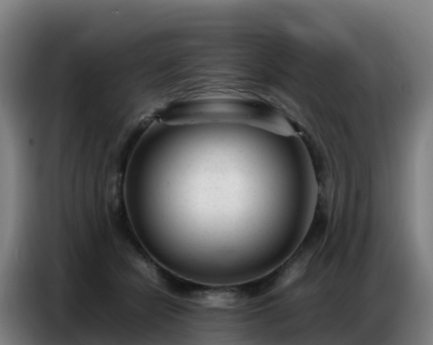 X0000086740462200704201709