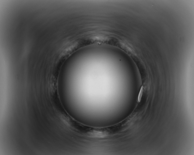 X0000086740464200704201709