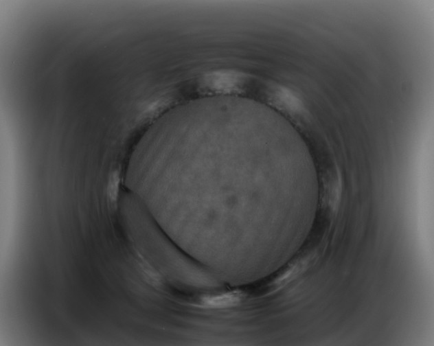 X0000086740465200704201709