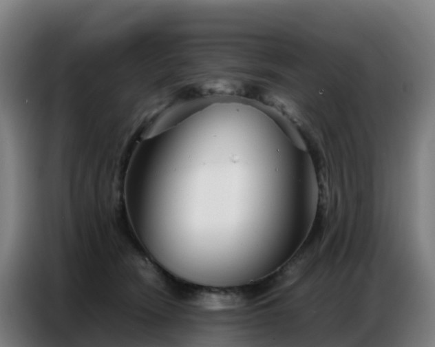 X0000086740466200704201709