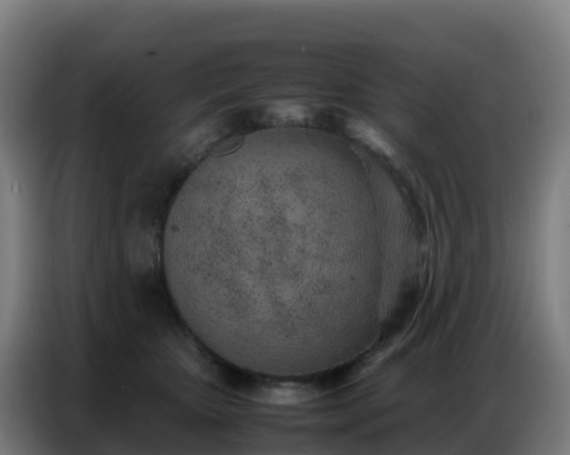 X0000086740467200704201709