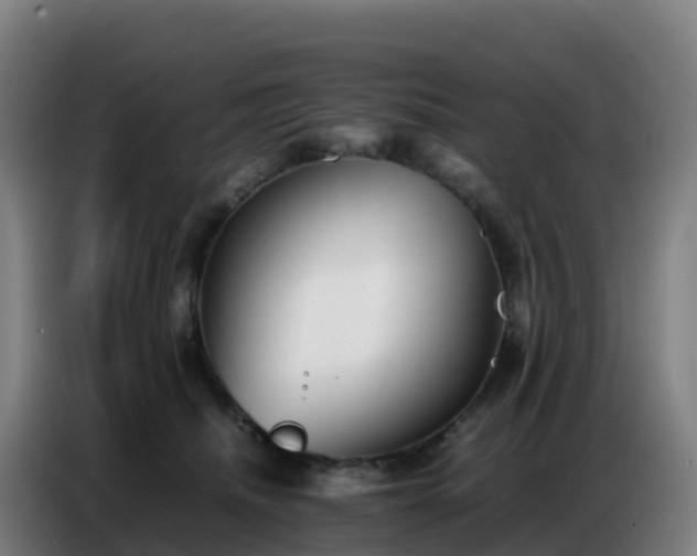 X0000086740468200704201709