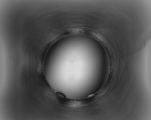 X0000086740469200704201709