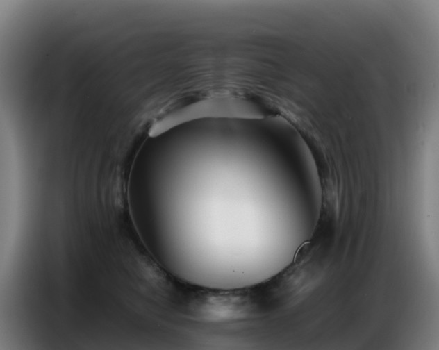 X0000086740470200704201709