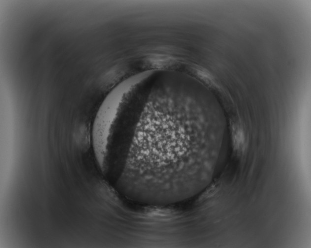 X0000086740471200704201709