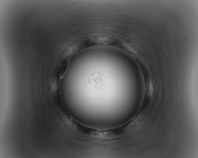 X0000086740472200704201709