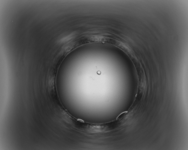 X0000086740473200704201709