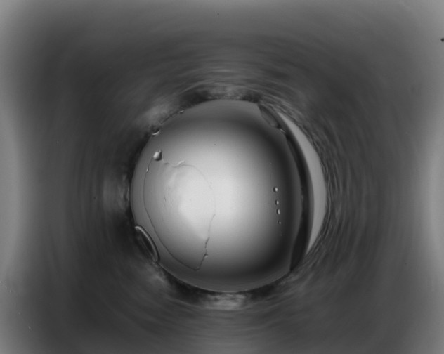 X0000086740474200704201709