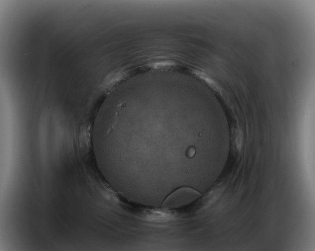 X0000086740475200704201709