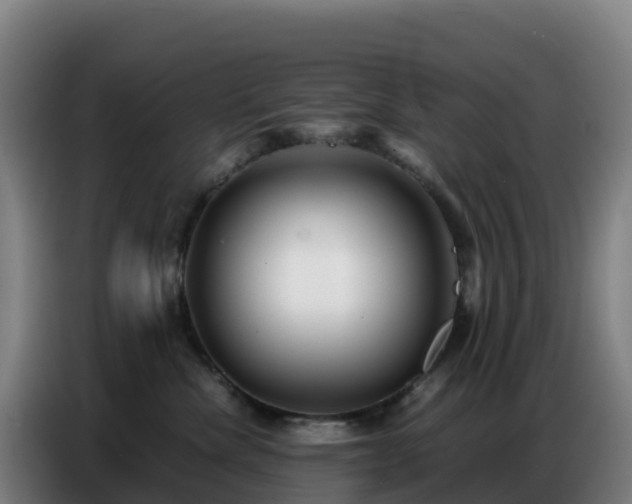 X0000086740476200704201709