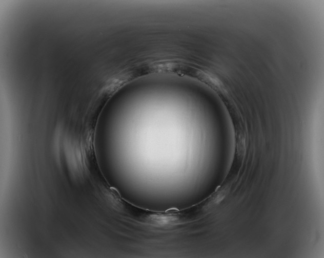 X0000086740477200704201709