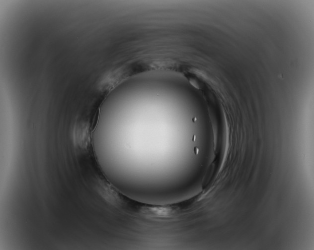 X0000086740478200704201709