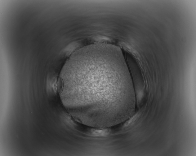 X0000086740479200704201709