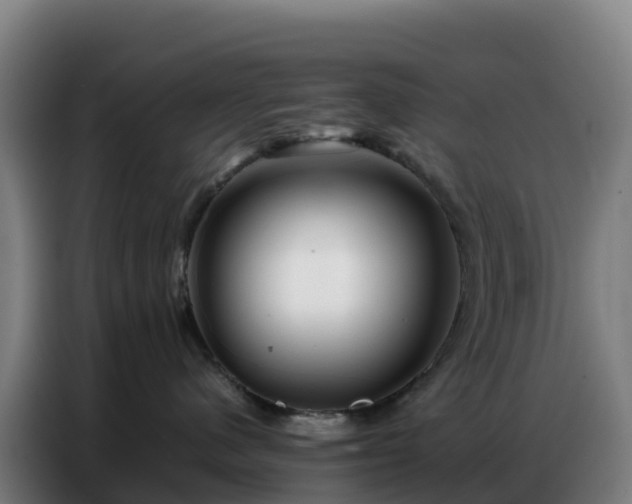 X0000086740480200704201709