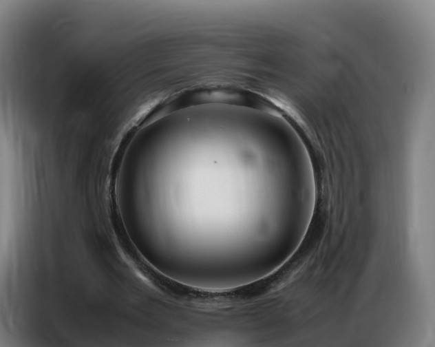 X0000086740485200704201708