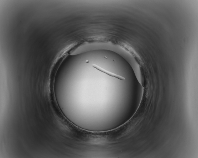 X0000086740486200704201708