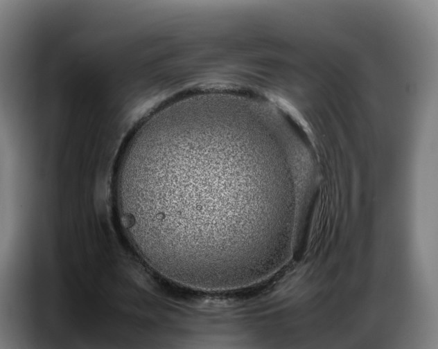 X0000086740487200704201708