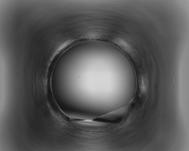 X0000086740488200704201708