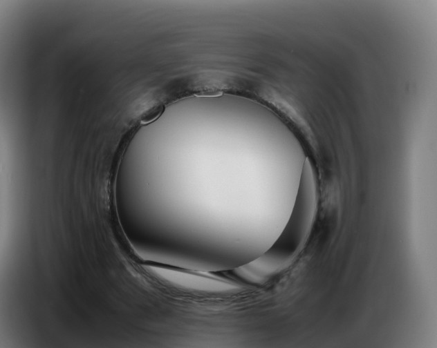 X0000086740489200704201708