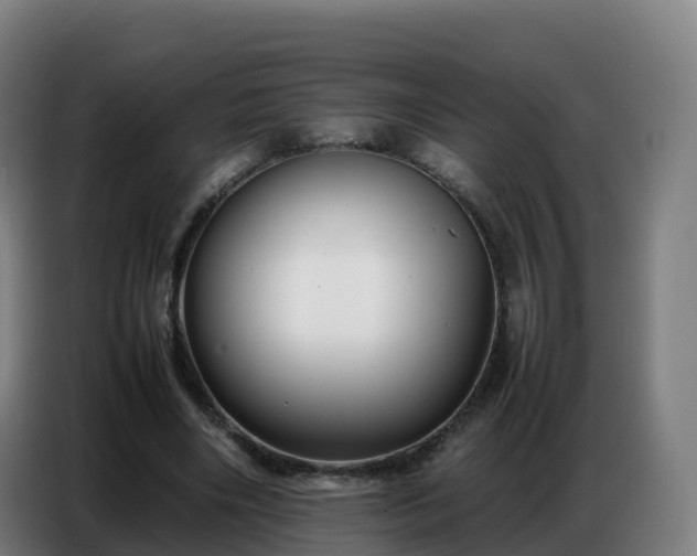 X0000086740490200704201708